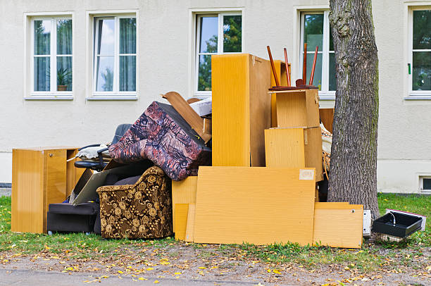 Best Shed Removal  in , AZ